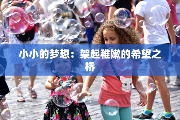 小小的梦想：架起稚嫩的希望之桥