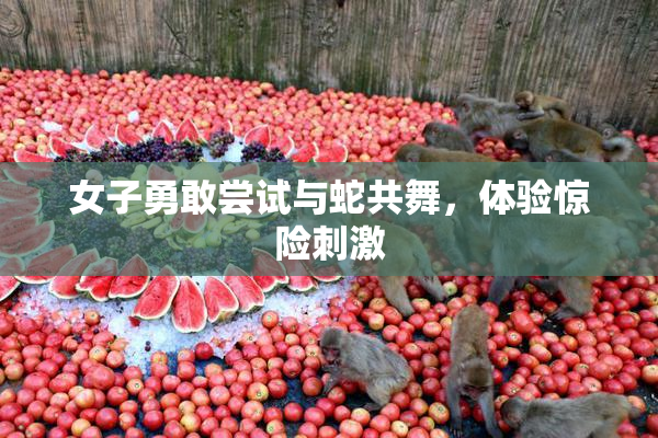 女子勇敢尝试与蛇共舞，体验惊险刺激