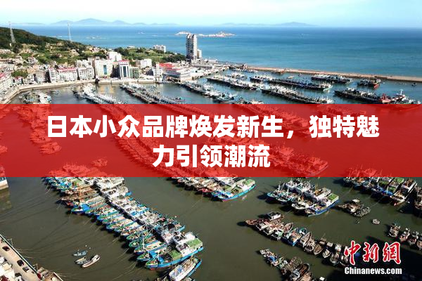 日本小众品牌焕发新生，独特魅力引领潮流