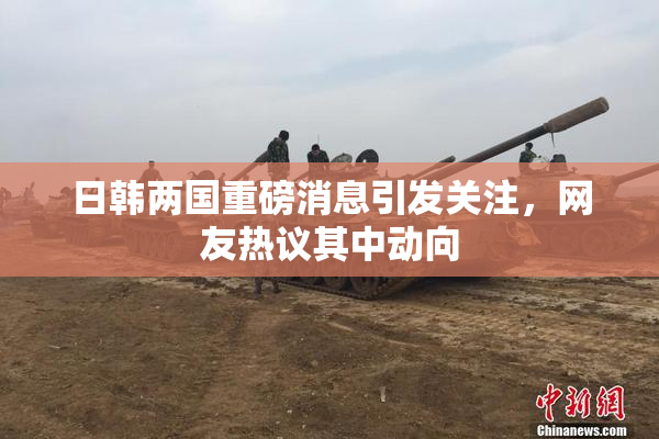 日韩两国重磅消息引发关注，网友热议其中动向
