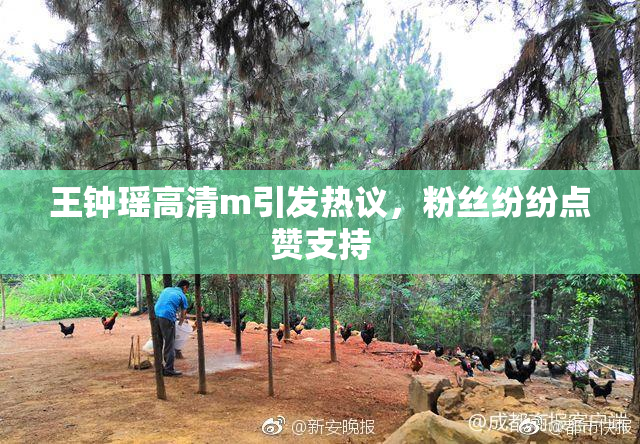 王钟瑶高清m引发热议，粉丝纷纷点赞支持