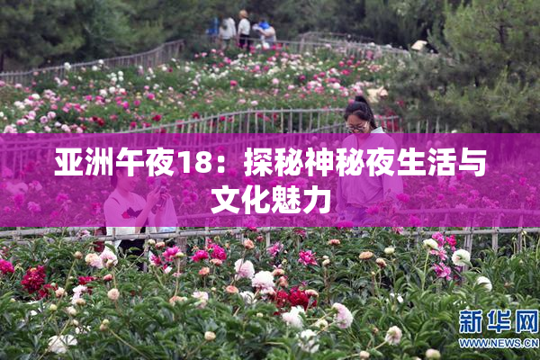 亚洲午夜18：探秘神秘夜生活与文化魅力
