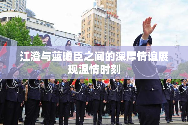 江澄与蓝曦臣之间的深厚情谊展现温情时刻