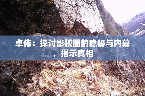 卓伟：探讨影视圈的隐秘与内幕，揭示真相