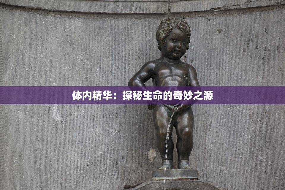 体内精华：探秘生命的奇妙之源