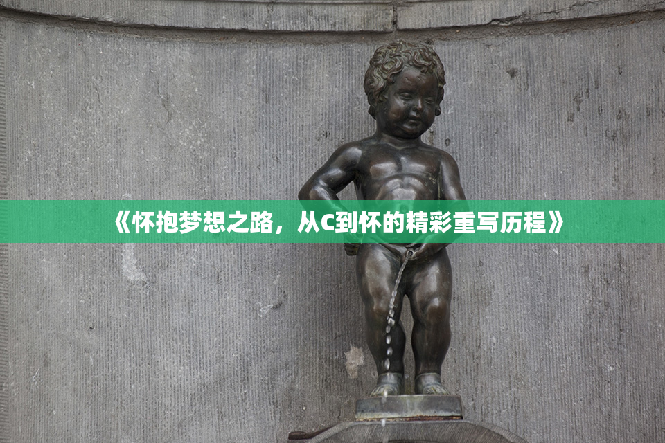《怀抱梦想之路，从C到怀的精彩重写历程》
