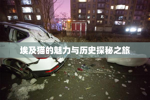 埃及猫的魅力与历史探秘之旅