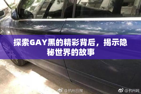 探索GAY黑的精彩背后，揭示隐秘世界的故事