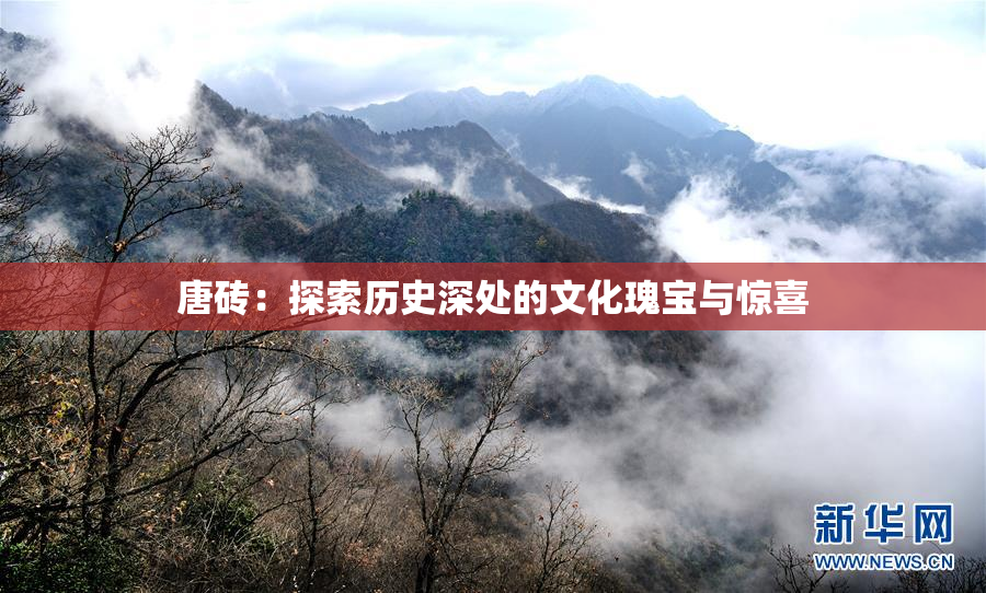 唐砖：探索历史深处的文化瑰宝与惊喜