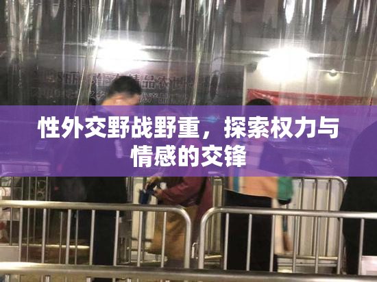 性外交野战野重，探索权力与情感的交锋