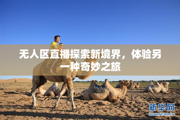 无人区直播探索新境界，体验另一种奇妙之旅