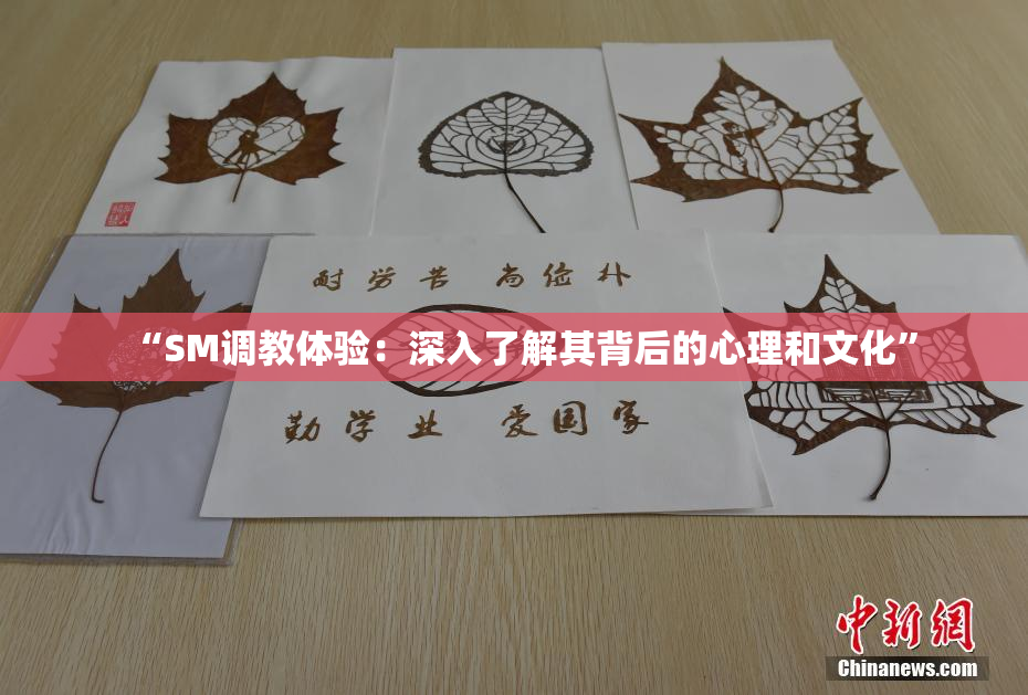 “SM调教体验：深入了解其背后的心理和文化”