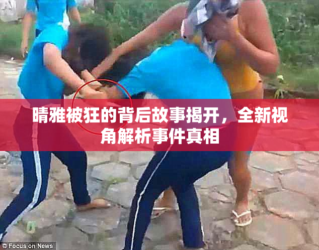 晴雅被狂的背后故事揭开，全新视角解析事件真相
