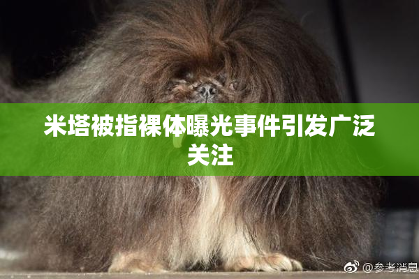 米塔被指裸体曝光事件引发广泛关注