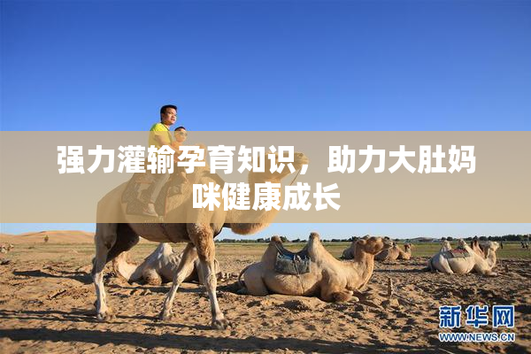 强力灌输孕育知识，助力大肚妈咪健康成长