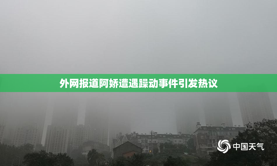外网报道阿娇遭遇躁动事件引发热议