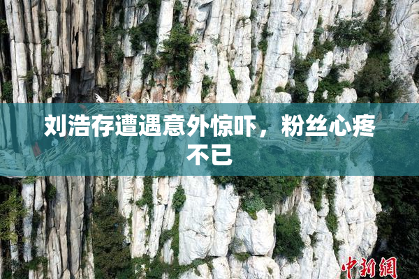 刘浩存遭遇意外惊吓，粉丝心疼不已