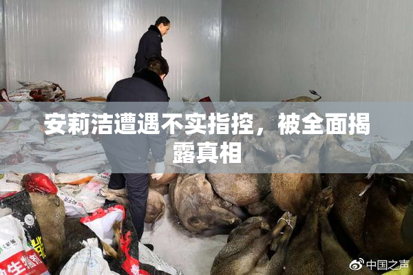 安莉洁遭遇不实指控，被全面揭露真相