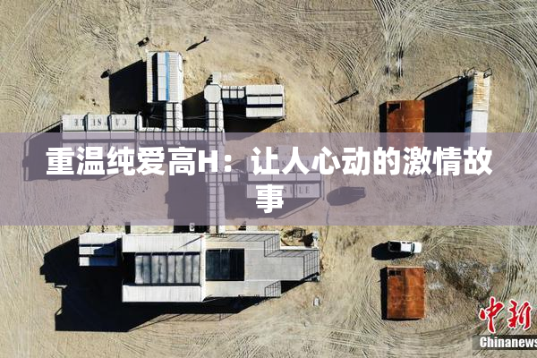 重温纯爱高H：让人心动的激情故事