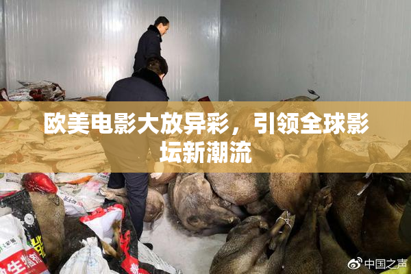 欧美电影大放异彩，引领全球影坛新潮流