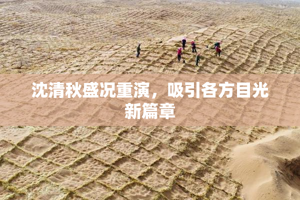 沈清秋盛况重演，吸引各方目光新篇章