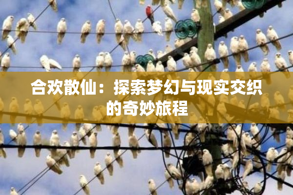 合欢散仙：探索梦幻与现实交织的奇妙旅程