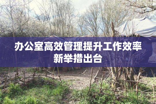 办公室高效管理提升工作效率新举措出台