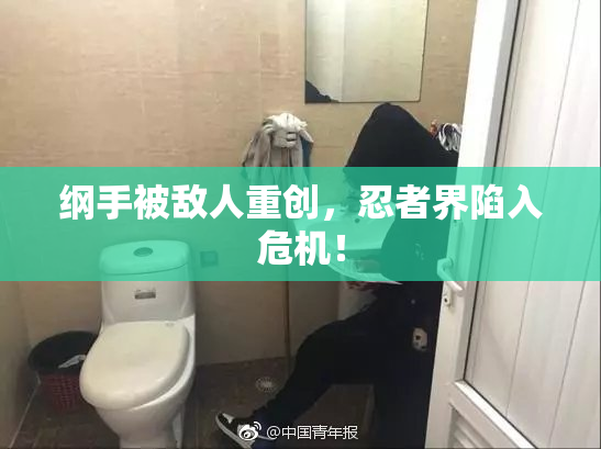 纲手被敌人重创，忍者界陷入危机！