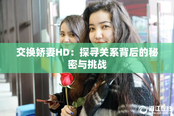 交换娇妻HD：探寻关系背后的秘密与挑战