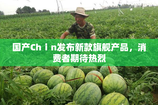 国产Chⅰn发布新款旗舰产品，消费者期待热烈