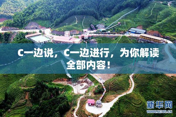 C一边说，C一边进行，为你解读全部内容！