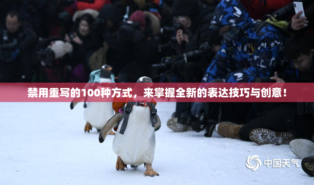 禁用重写的100种方式，来掌握全新的表达技巧与创意！