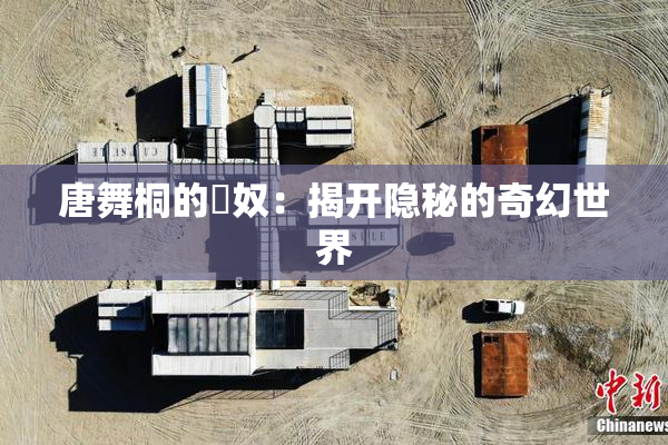 唐舞桐的婬奴：揭开隐秘的奇幻世界
