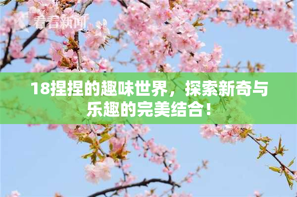18捏捏的趣味世界，探索新奇与乐趣的完美结合！