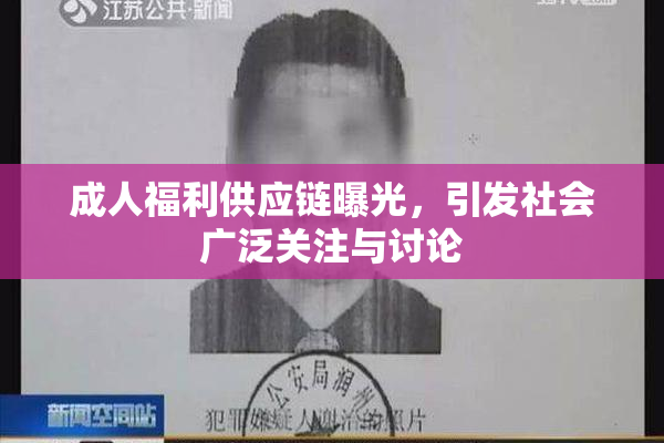 成人福利供应链曝光，引发社会广泛关注与讨论