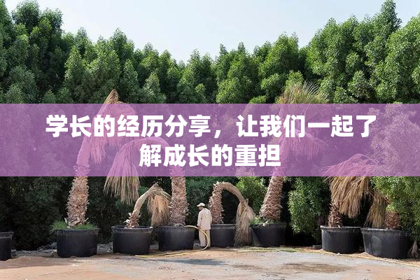 学长的经历分享，让我们一起了解成长的重担