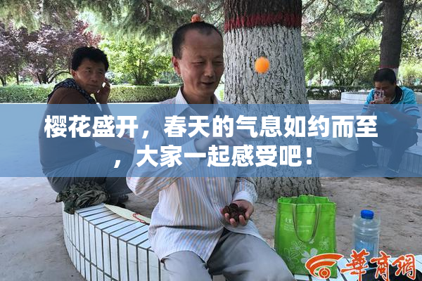 樱花盛开，春天的气息如约而至，大家一起感受吧！