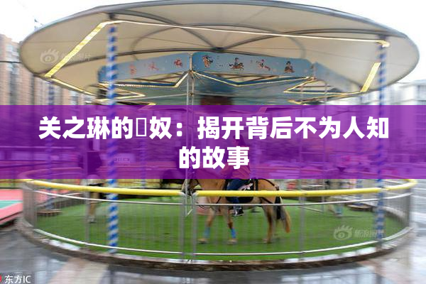 关之琳的婬奴：揭开背后不为人知的故事