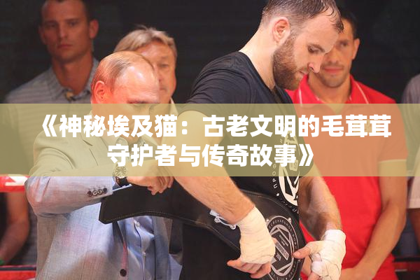 《神秘埃及猫：古老文明的毛茸茸守护者与传奇故事》
