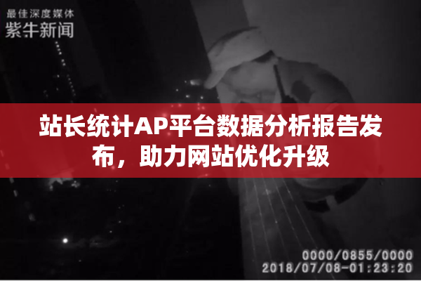 站长统计AP平台数据分析报告发布，助力网站优化升级