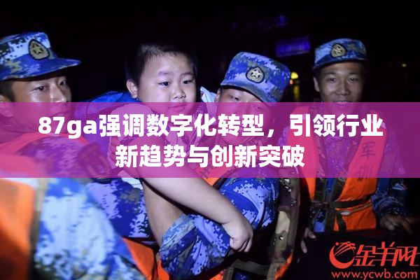 87ga强调数字化转型，引领行业新趋势与创新突破