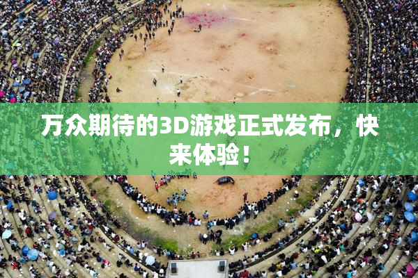 万众期待的3D游戏正式发布，快来体验！