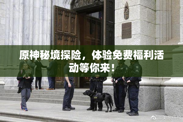 原神秘境探险，体验免费福利活动等你来！