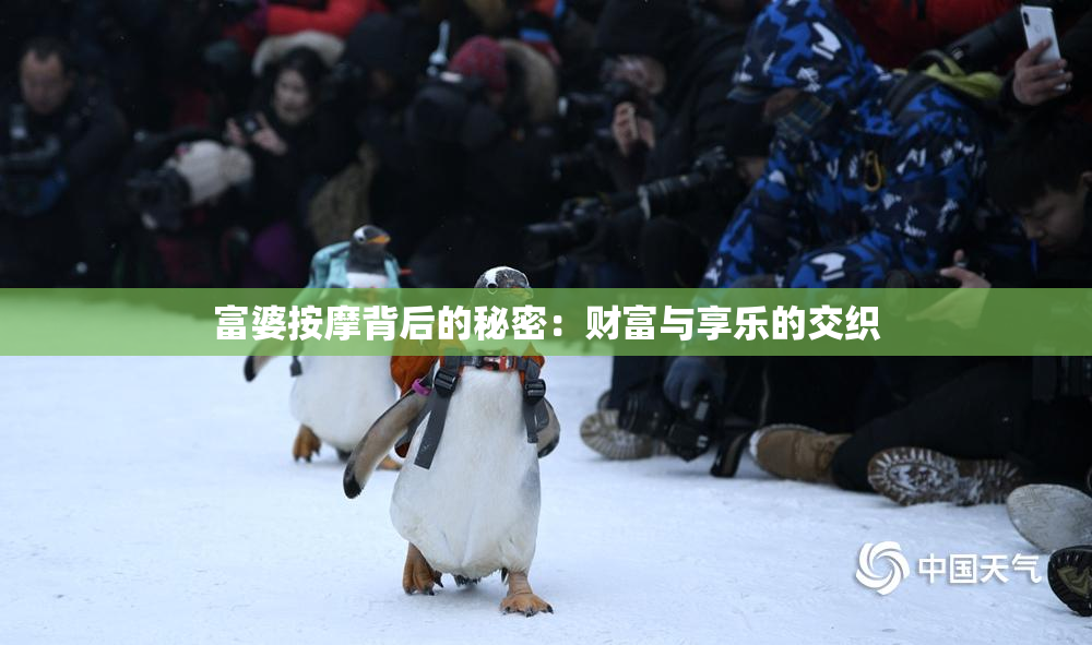 富婆按摩背后的秘密：财富与享乐的交织