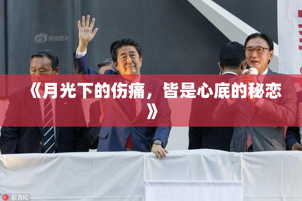 《月光下的伤痛，皆是心底的秘恋》