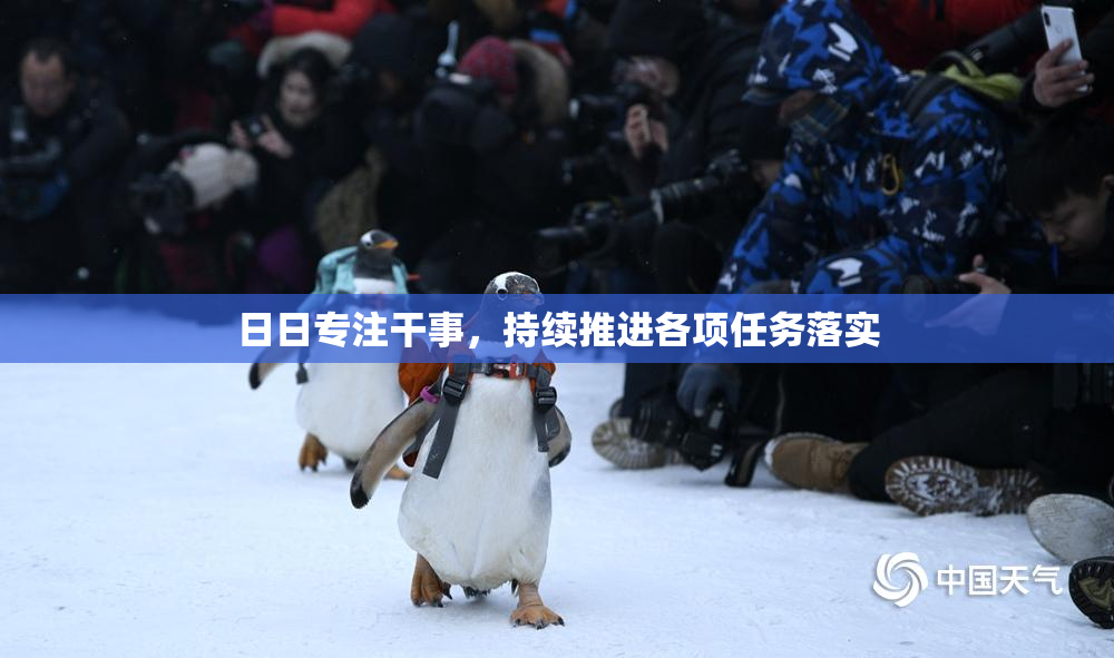 日日专注干事，持续推进各项任务落实