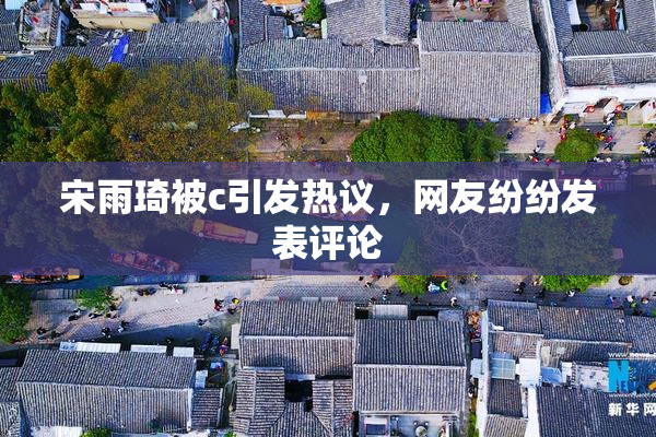 宋雨琦被c引发热议，网友纷纷发表评论
