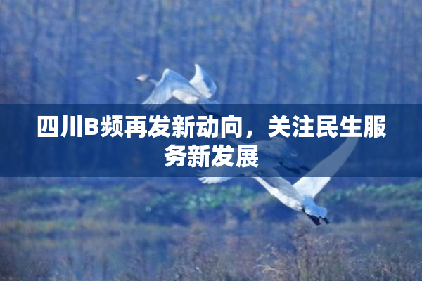 四川B频再发新动向，关注民生服务新发展