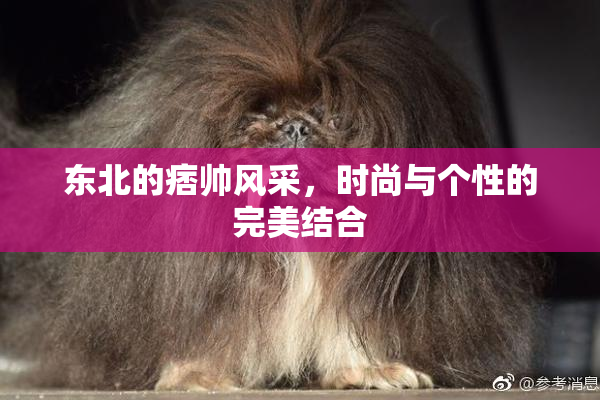 东北的痞帅风采，时尚与个性的完美结合