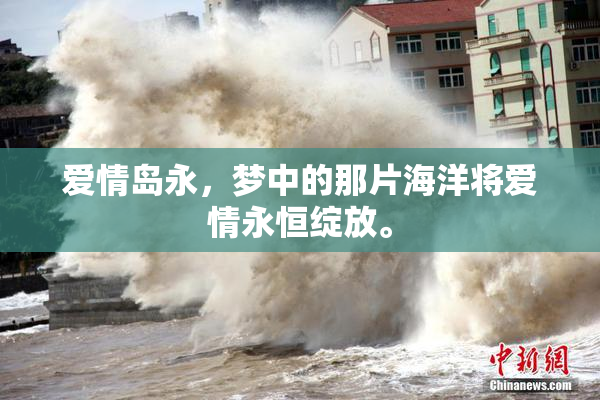爱情岛永，梦中的那片海洋将爱情永恒绽放。